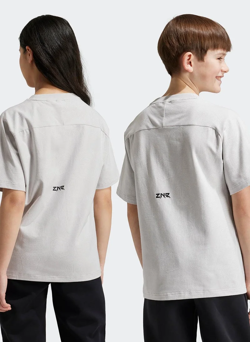 اديداس تيشيرت تدريب رمادي    مقاس - سنوات